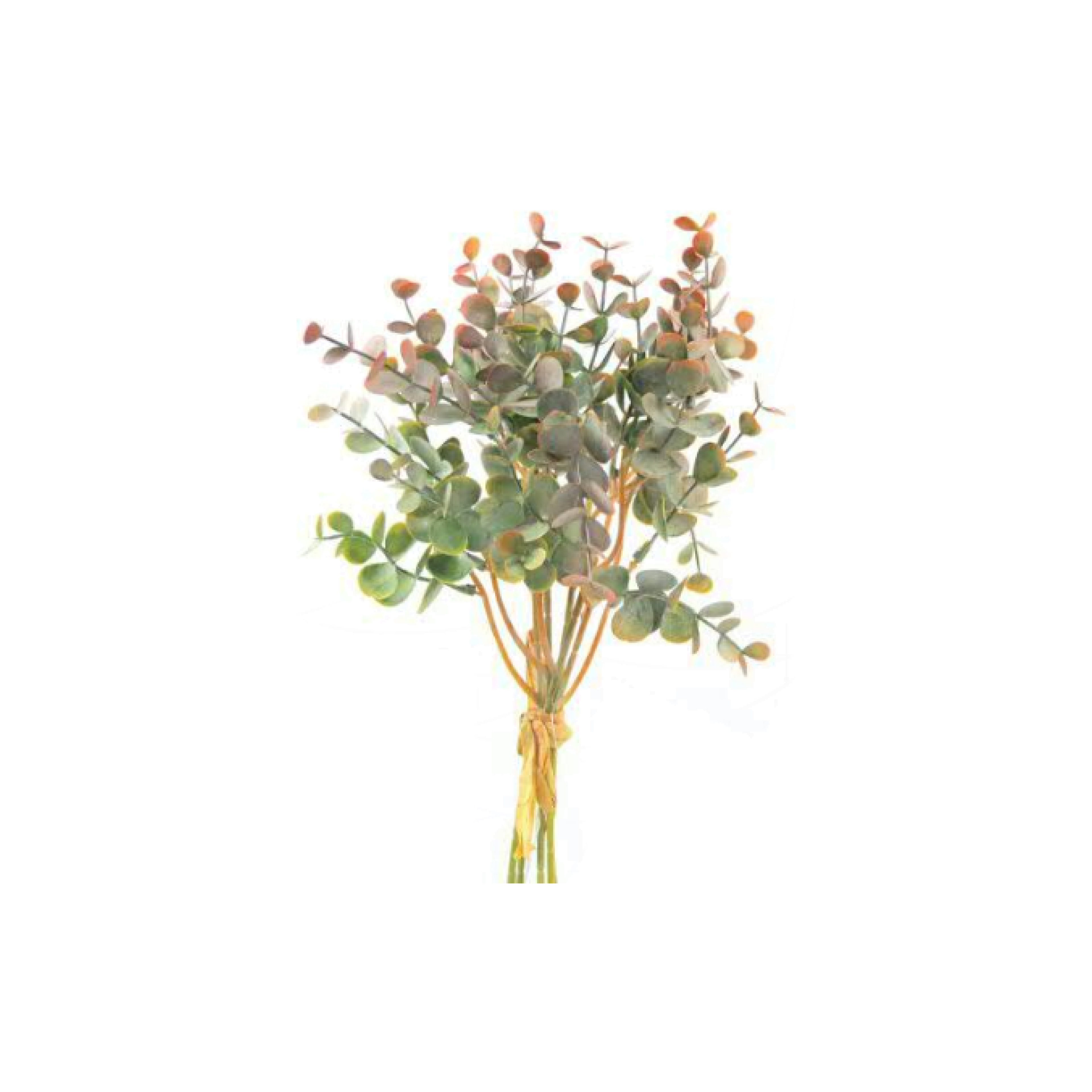 Eukalyptus-Bund 34 cm in grün / rot